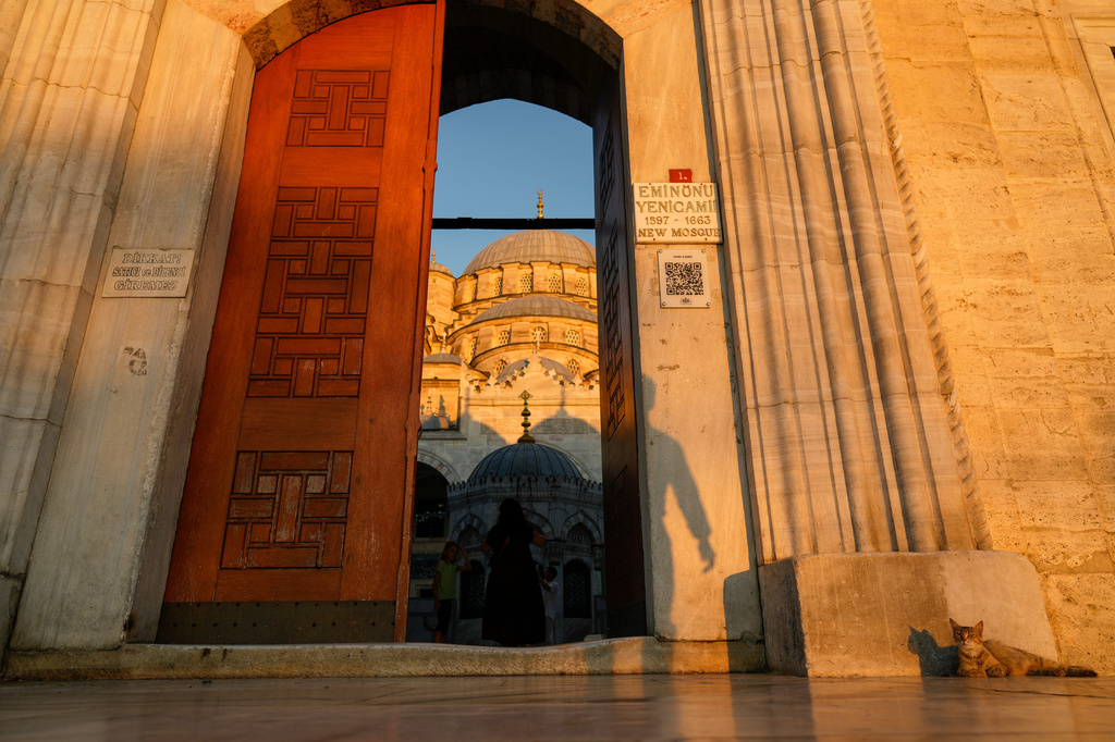 A stray cat sits in front of the historic Yeni mosque at Eminonu district in Istanbul, Turkey, Wednesday, June 24, 2026. (AP Photo/Emrah Gurel)
