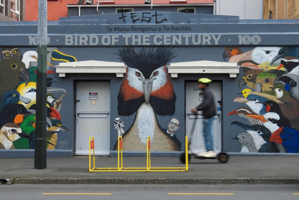 FILE - A man rides past a mural celebrating John Oliver's New Zealand's 2023 Bird of the Year campaign in Wellington, New Zealand, Sunday, Sept. 15, 2024. (AP Photo/Charlotte Graham-McLay, File)