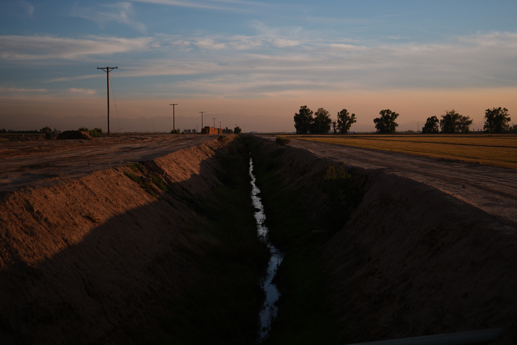 Water sits in a ditch Friday, Dec. 12, 2025, in El Centro, Calif. (AP Photo/Gregory Bull)