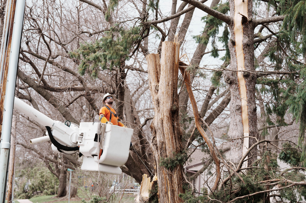 An Alliant Energy worker looks at downed power lines during cleanup after severe overnight storms Tuesday, April 14, 2026, in Deforest, Wis. (AP Photo/Jon Elswick)