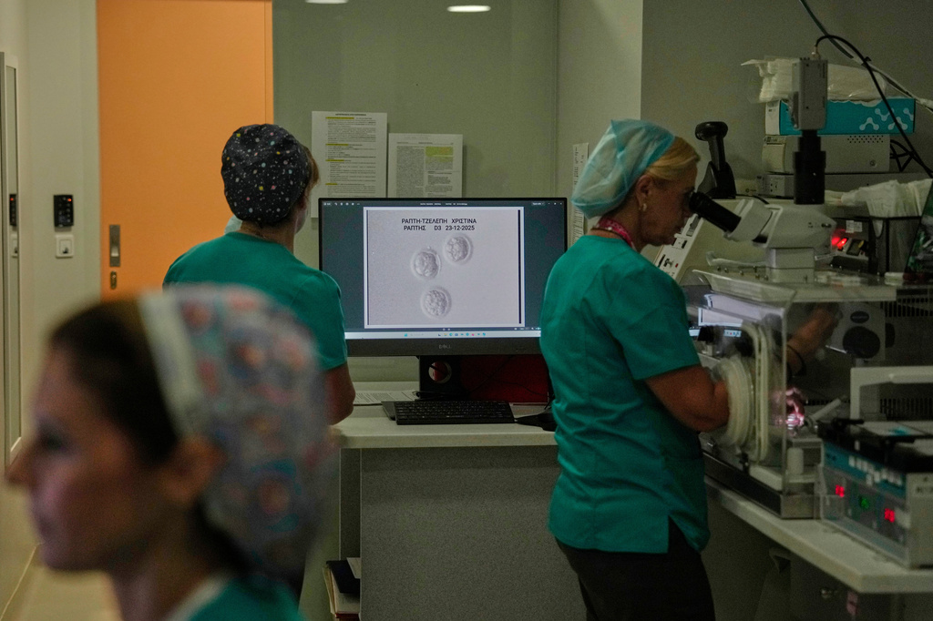An image of the Raptis couple's embryo is displayed on a laboratory monitor as clinical embryologists work at a private IVF clinic in Athens, Greece, Friday, Sept. 11, 2026. (AP Photo/Thanassis Stavrakis)