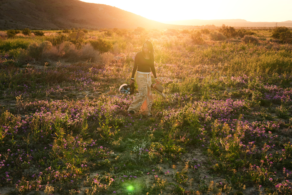Photographer Krystle Hickman walks in a field of wildflowers while photographing wild bees at Anza-Borrego Desert State Park in San Diego County, Calif., on Saturday, Feb. 7, 2026. (AP Photo/Damian Dovarganes)