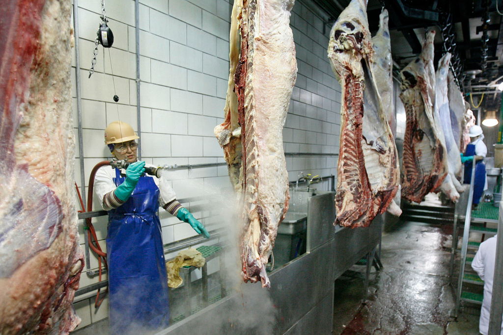 Vanessa Rodriguez washes the necks of the carcasses with 180 degree water before they go into thermal heat treatment during a tour of the Tyson meat packing plant in Lexington, Neb., Wednesday, Nov. 14, 2007. (Kent Sievers/Omaha World-Herald via AP)