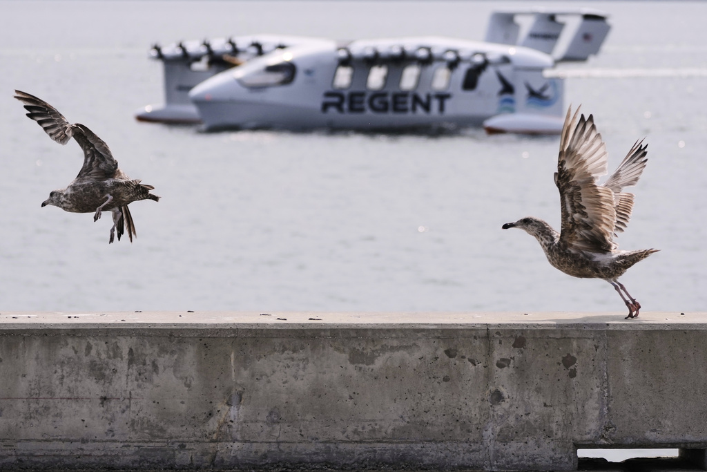 Seagulls take flight as the REGENT Viceroy Seaglider, a winged passenger ferry, returns from a test run on Narragansett Bay, Wednesday, Aug. 6, 2025, off the coast of North Kingstown, R.I. (AP Photo/Charles Krupa)
