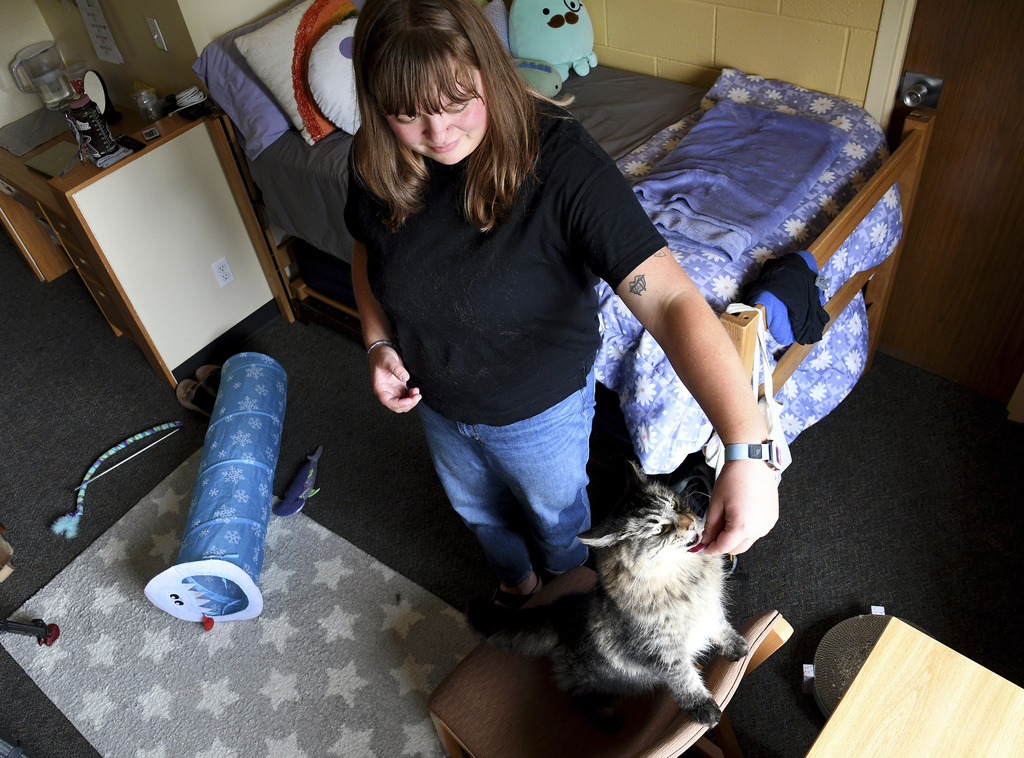 Student Molly Cheer gives her pet comfort cat, Louie, a treat in her dorm room at the University of Northern Colorado in Greeley, Colo., on Monday, Aug. 25, 2025. (AP Photo/Thomas Peipert)