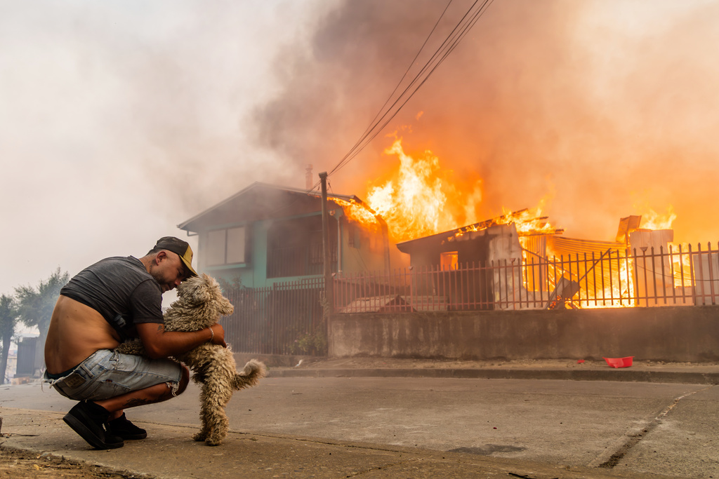 A member of the Gonzalez family pets his dog after the family's home caught fire during wildfires in Lirquen, Chile, Sunday, Jan. 18, 2026. (AP Photo/Javier Torres)