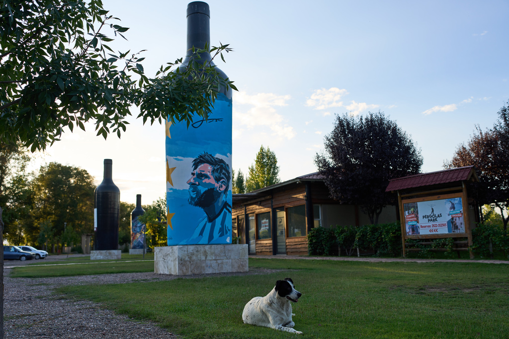 A dog rests next to wine-shaped structures in the Uco Valley, near Mendoza, Argentina, Monday, March 9, 2026. (AP Photo/Rodrigo Abd)