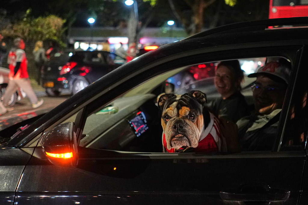 A dog wearing an Arsenal shirt arrives with it's owner at the Arsenal stadium after Arsenal's soccer team won the Premier League title in London, Tuesday, May 19, 2026.(AP Photo/Alberto Pezzali)