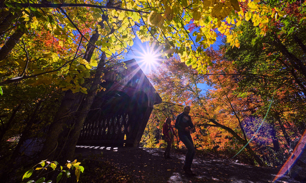 A couple walks through colorful foliage after walking across a covered bridge spanning the Contoocook River, Thursday, Oct. 15, 2026, in Henniker, N.H. (AP Photo/Charles Krupa)