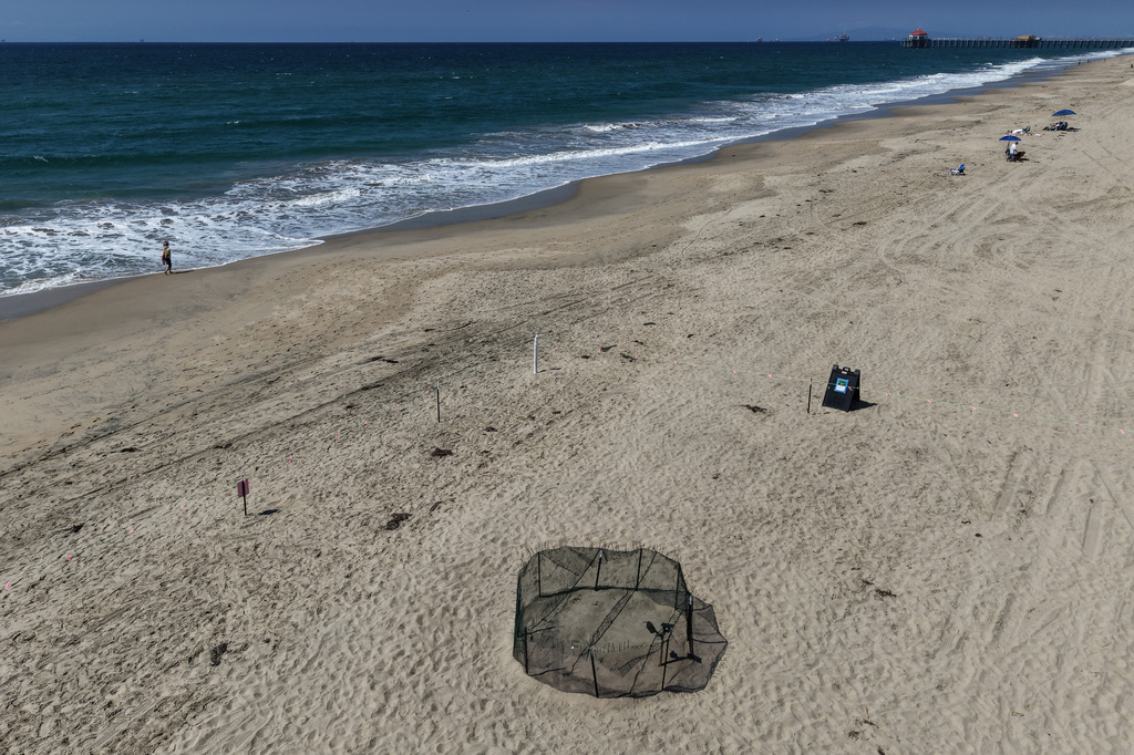 This aerial view shows a protective fence surrounding a sea turtle nesting site on the beach in Huntington Beach, Calif., Tuesday, Sept. 22, 2026. (AP Photo/Jae C. Hong)