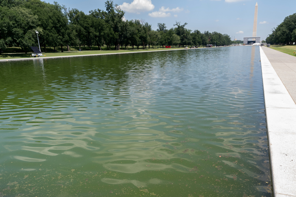 The Lincoln Memorial Reflecting Pool is seen, Monday, June 29, 2026, in Washington. (AP Photo/Mark Schiefelbein)