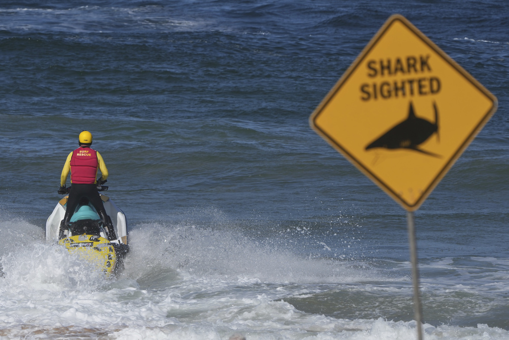 A surf lifesaver patrols a beach on a jetski following a fatal shark attack at Dee Why Beach in Sydney, Australia, Saturday, Sept. 6, 2025. (AP Photo/Mark Baker)