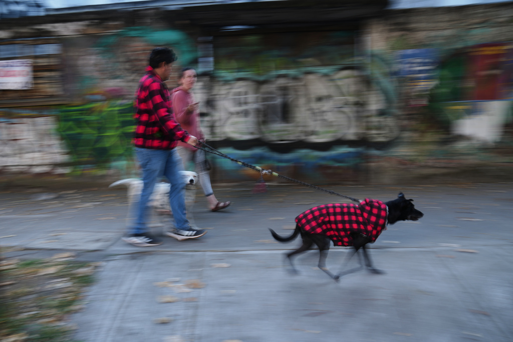 A couple walks their dogs after leaving their home due to an earthquake that was felt in Mexico City, Friday, Jan. 2, 2026, amid a magnitude 6.5 quake that originated in the Acapulco area. (AP Photo/Marco Ugarte)