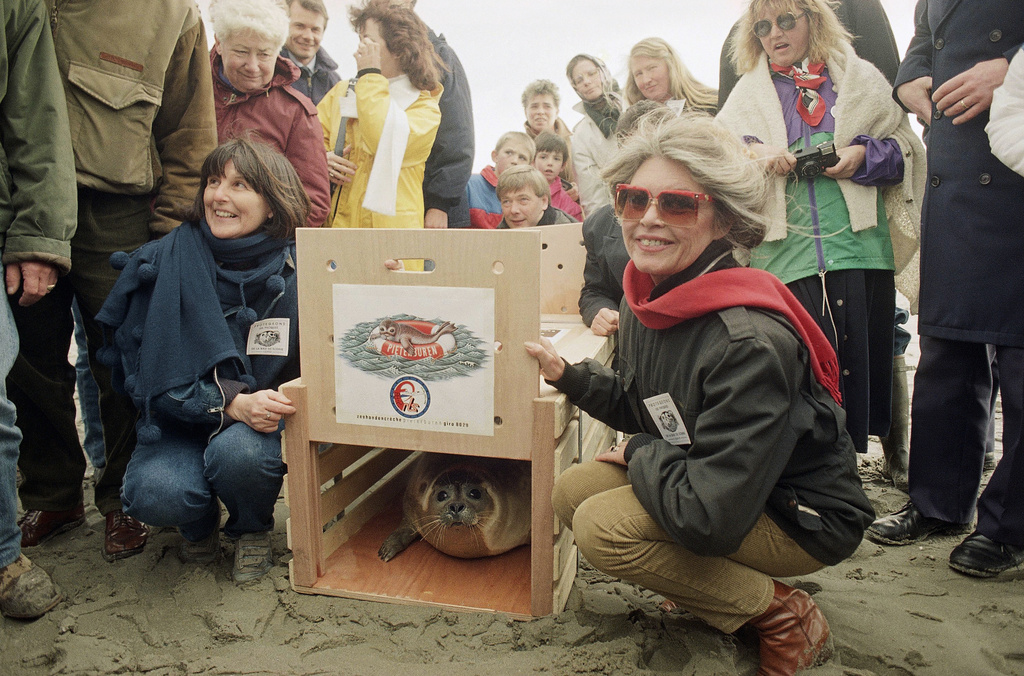 FILE - Martial, a 7-month old seal pup, poses with French movie star Brigitte Bardot on a beach near Cayeux, northern France, Tuesday, March 27, 1990 shortly before making its way back to the sea. (AP Photo/Michel Lipchitz, File)