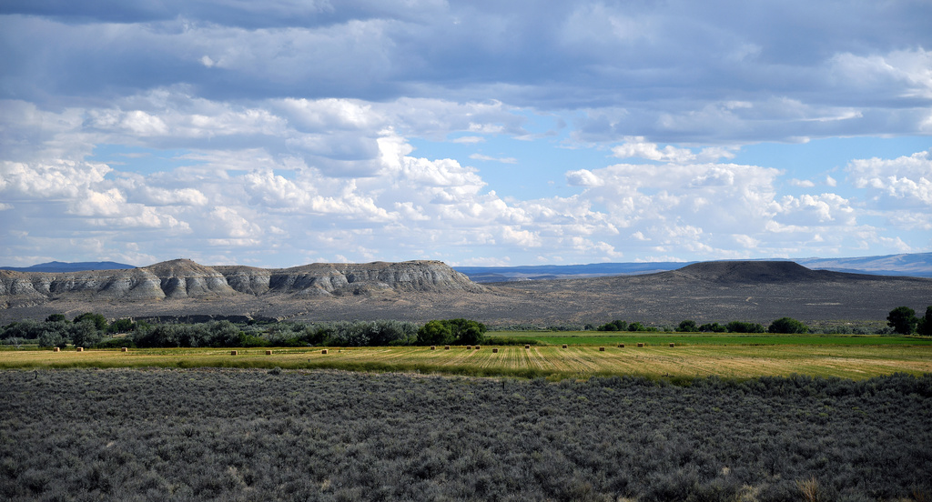 The sun shines on a hay field on the Wind River Reservation near Riverton, Wyo., on Sunday, Aug. 16, 2026. (AP Photo/Thomas Peipert)