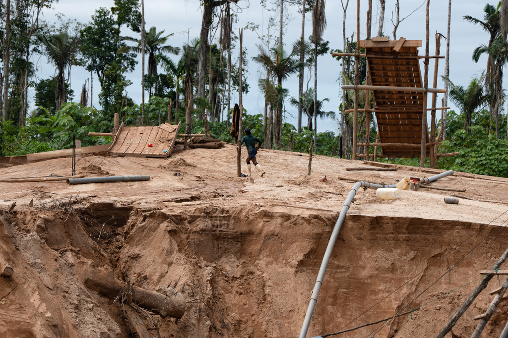 An illegal miner flees as members of the Peruvian Navy arrive near the Malinowski River in the Tambopata National Reserve in Puerto Maldonado, Peru, Tuesday, Aug. 11, 2026. (AP Photo/Guadalupe Pardo)