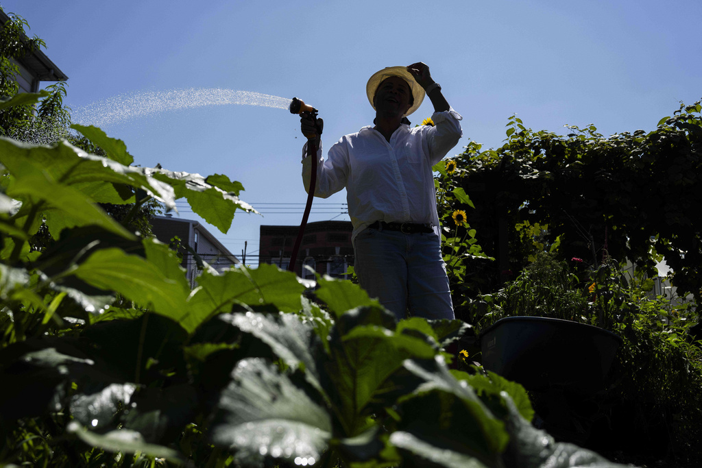 Hazel White, mother of Alicia White, who is the president and founder of the Project Petals, waters plants at Paradise Community Garden, Friday, Aug. 8, 2025, in Inwood, N.Y. (AP Photo/Yuki Iwamura)