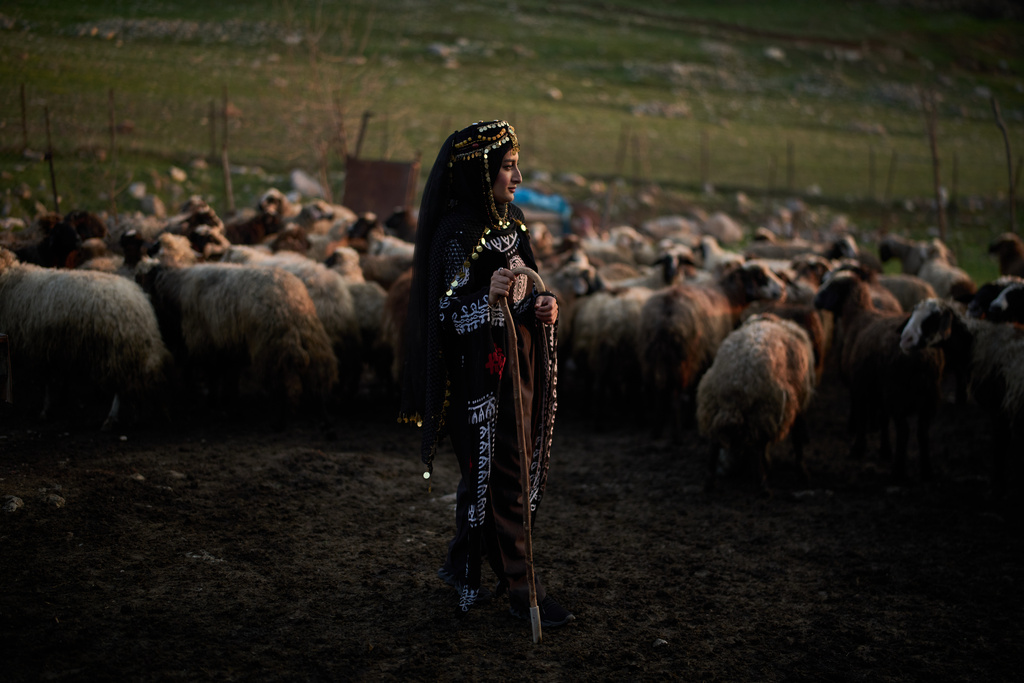 Wearing a traditional dress, Parzhin Jasem, poses for a photo next to sheep belonging to her uncle as she takes part in a family gathering to break the fast with an Iftar meal during the Muslim holy month of Ramadan in the village of Gulp, Iraq, Tuesday, March 17, 2026. (AP Photo/Leo Correa)