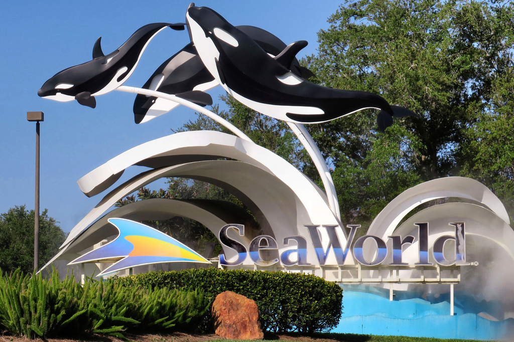 FILE - The entrance to SeaWorld Orlando is seen, March 13, 2020. (Joe Burbank/Orlando Sentinel via AP, File)