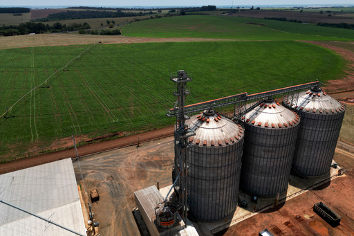 FILE - Silos for soy beans stand on the Morada do Sol farm during the planting season in Santa Cruz do Rio Pardo, Sao Paulo state, Brazil, Oct. 15, 2025. (AP Photo/Ettore Chiereguini, File) FILE - Silos for soy beans stand on the Morada do Sol farm during the planting season in Santa Cruz do Rio Pardo, Sao Paulo state, Brazil, Oct. 15, 2025. (AP Photo/Ettore Chiereguini, File)