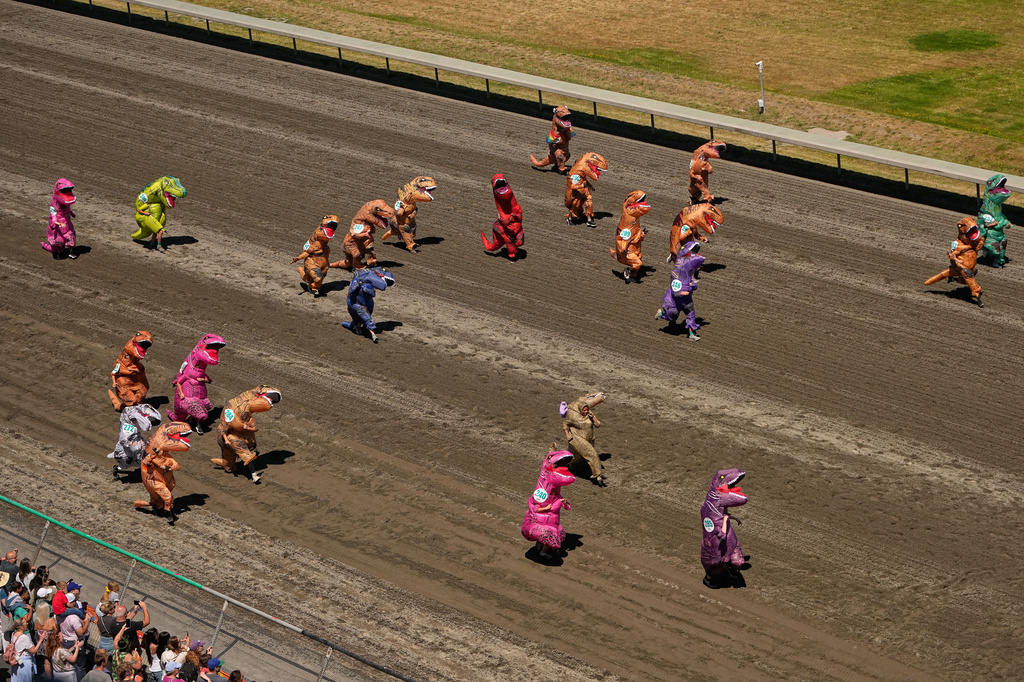 Dozens of racers in inflatable costumes sprint down the track in a preliminary heat during the T-Rex World Championship Races at Emerald Downs, Sunday, July 12, 2026, in Auburn, Wash. (AP Photo/Lindsey Wasson)