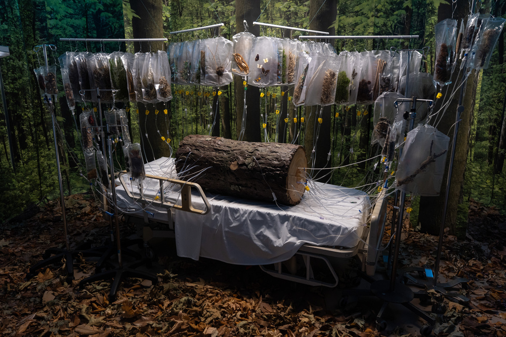 Michelle Lougee's installation "The Transfusion" is displayed during the "Hospital of Emotions" exhibition inside a former hospital building in Los Angeles, Wednesday, July 22, 2026. (AP Photo/Jae C. Hong)