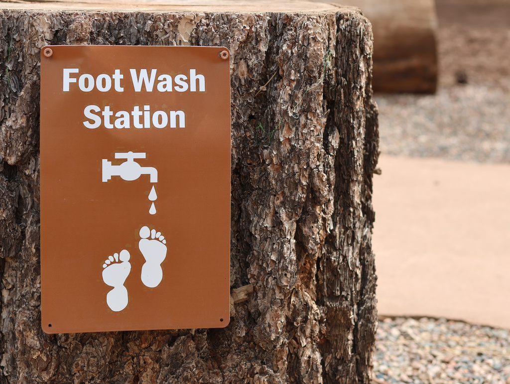 A sign nailed to a tree stump indicates where the foot washing station is at the end of a barefoot trail near Flagstaff, Ariz, on Thursday, April 16, 2026. (AP Photo/Cheyanne Mumphrey)