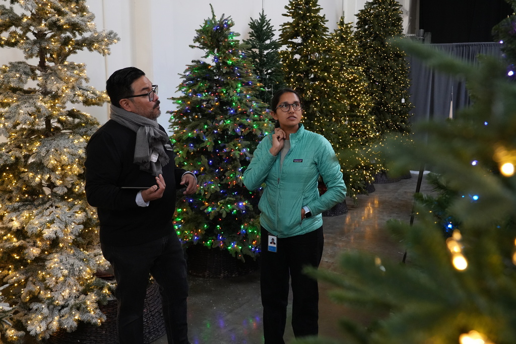 Anjali Bisaria shops for an artificial Christmas tree at the Balsam Hill outlet store in Burlingame, Calif. on Dec. 10, 2025. (AP Photo/Terry Chea)