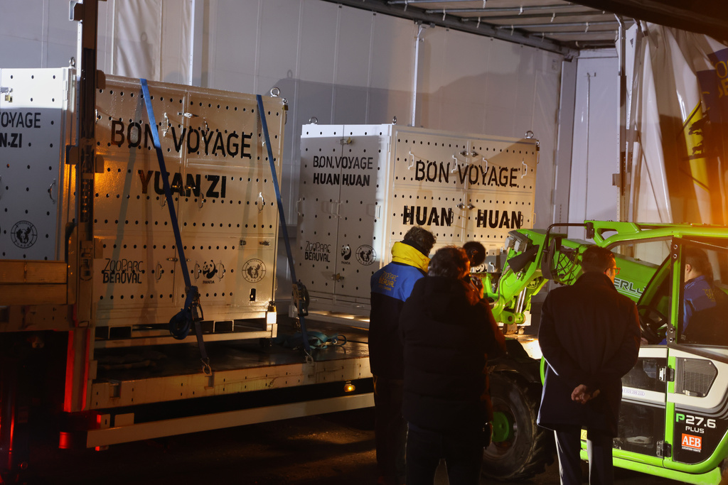 In this image released by the Zoo Parc de Beauval, cages containing pandas Yan Zi and Huan Huan, who will be flown to China, are loaded onto a truck at the Beauval Parc Zoo in Saint-Aignan-sur-Cher, France, on Tuesday, Nov. 25, 2025. (Zoo Parc de Beauval via AP)