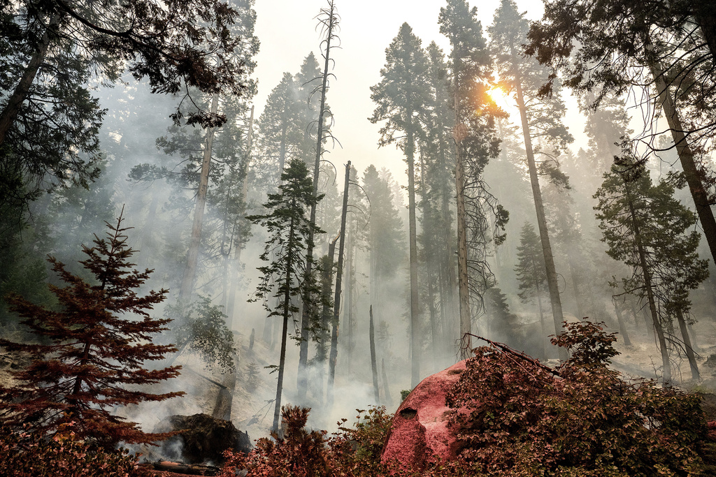 The Garnet Fire burns in the McKinley Grove area of the Sierra National Forest, Calif., on Tuesday, Sept. 9, 2025. (AP Photo/Noah Berger)