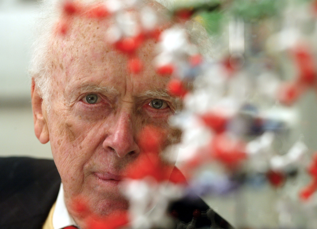 FILE - U.S. biologist James Watson, who shared a Nobel prize for helping discover the double-helix shape of the DNA molecule, poses for a portrait at an exhibition in Berlin on Monday, Oct. 11, 2004. (AP Photo/Markus Schreiber, File)