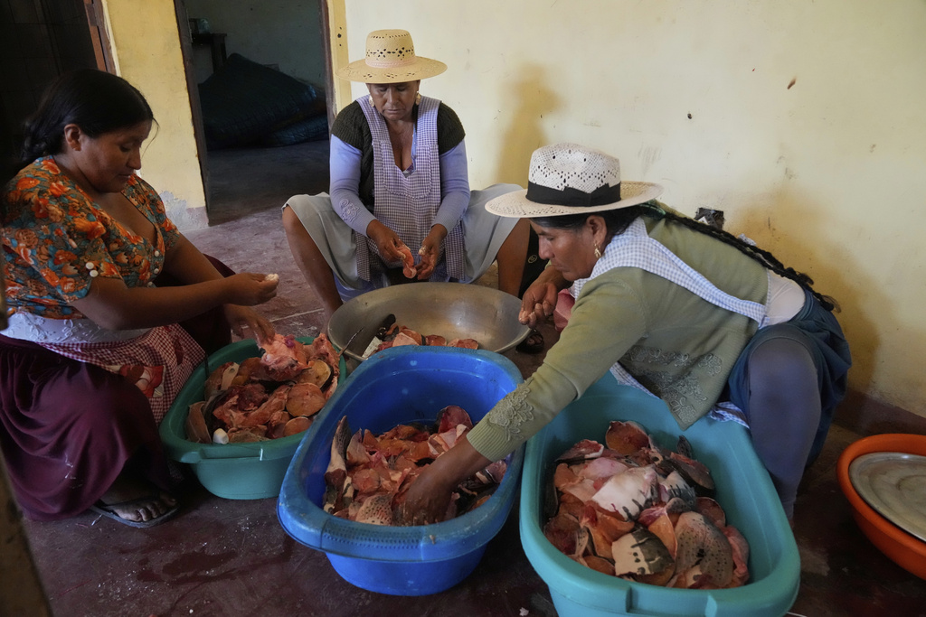 Women prepare food for former President Evo Morales and local leaders at the peasants federation during general elections in Villa 14 de Septiembre, in Bolivia's Chapare region, Sunday, Aug. 17, 2025. (AP Photo/Jorge Saenz)