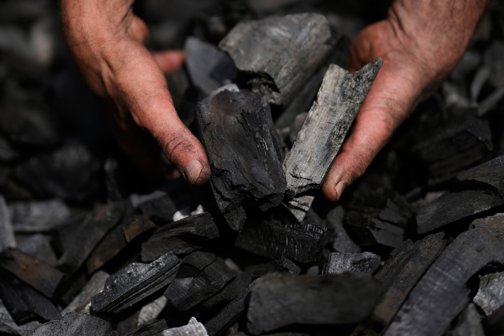 Sascha Feldmer holds fresh charcoal at his his family-run, traditional production site near Hasselfelde in Germany's Harz forest, Thursday, June 18, 2026. (AP Photo/Matthias Schrader)