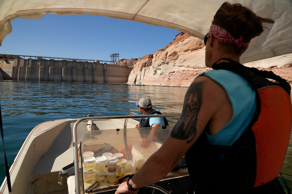 FILE - Utah State University master's student Barrett Friesen steers a boat near Glen Canyon dam on Lake Powell on June 7, 2022, in Page, Ariz. (AP Photo/Brittany Peterson, File)