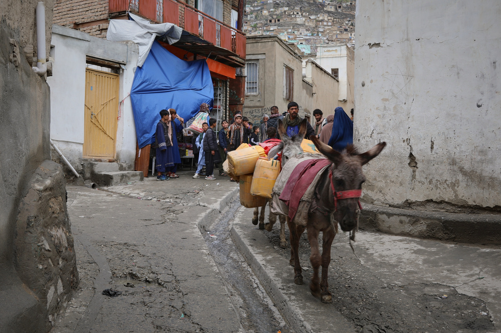 Residents carry jerrycans on donkeys after collecting water from a well at a mosque in Deh Mazang, Kabul, Afghanistan, Thursday, April 2, 2026. (AP Photo/Siddiqullah Alizai)