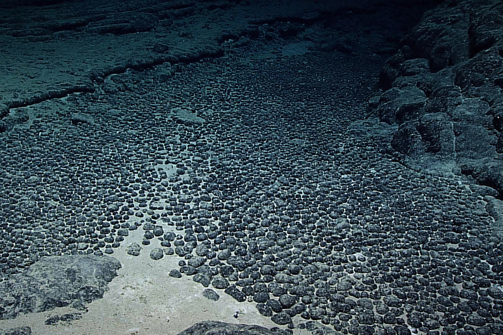 This photo provided by NOAA shows a field of manganese nodules in deep waters off of Hawaii during the Hohonu Moana (deep water) expedition in 2015. (NOAA Office of Ocean Exploration and Research via AP)