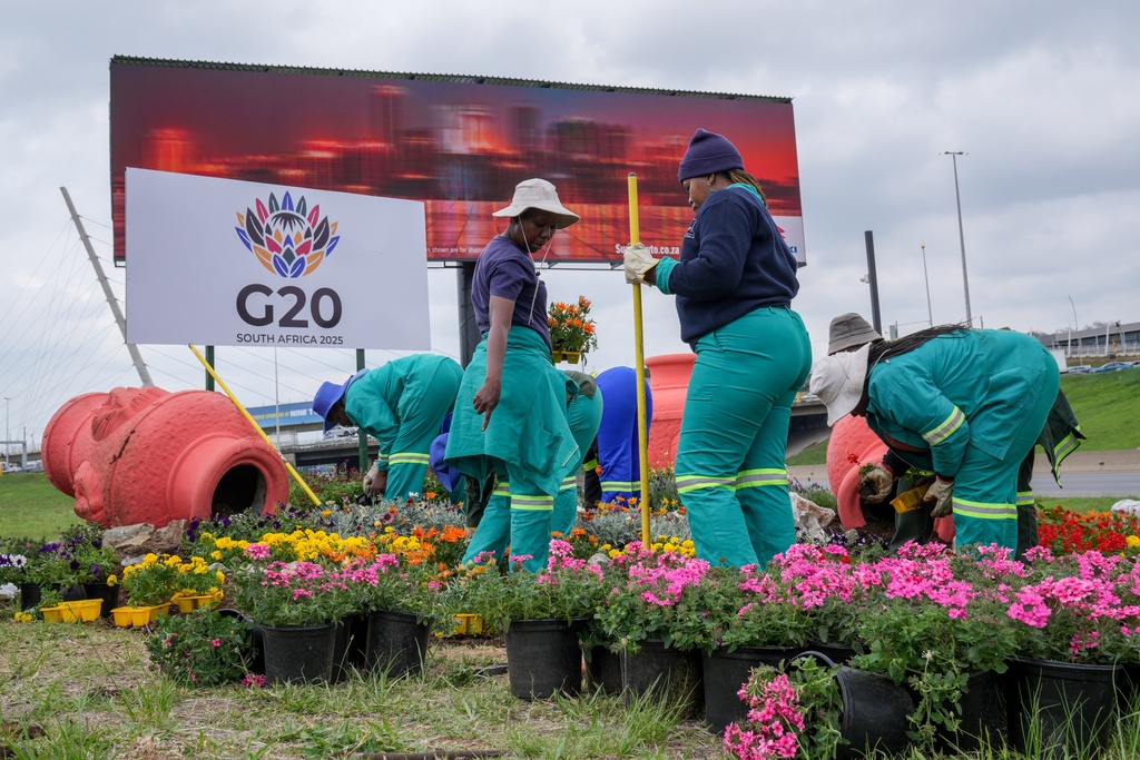 City park employee plant flowers along one of Johannesburg's major highway as a massive cleanup job gets underway in anticipation of the upcoming G20 summit to be held in the South African economic capital, Friday, Nov. 14, 2025. (AP Photo/Jerome Delay)