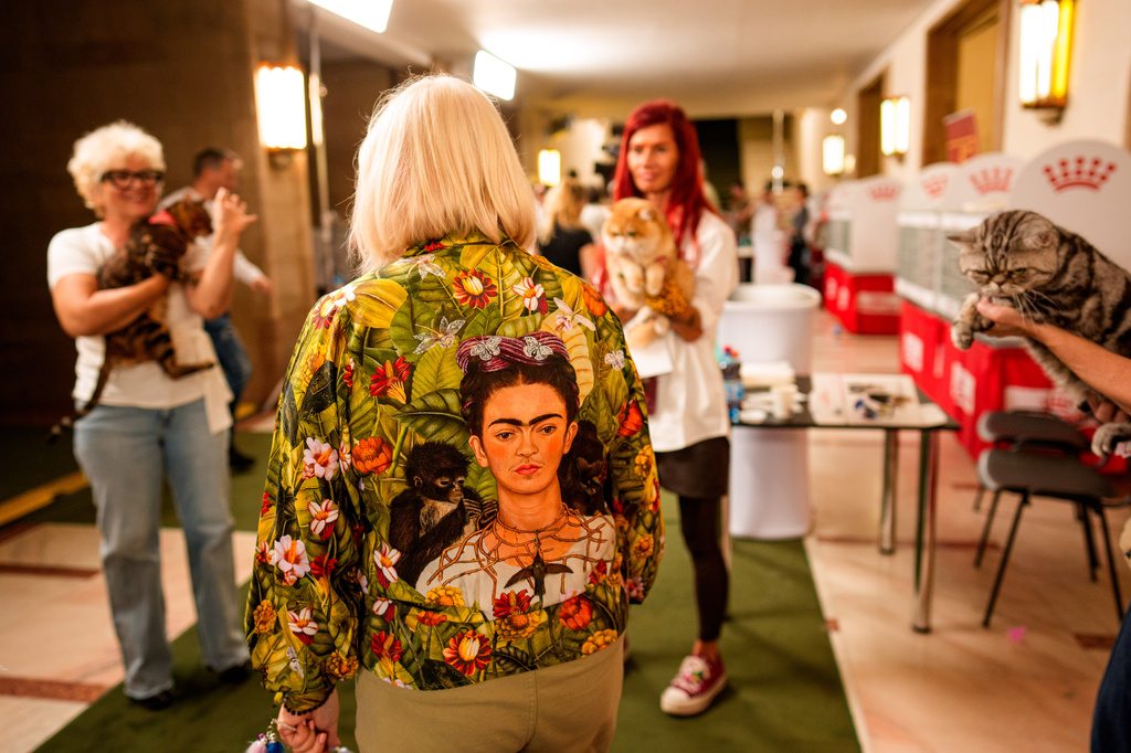 A judge speaks to cat owners during a judging session of an international feline beauty competition, dubbed the Feline Oscars, featuring more than 200 cats, in Bucharest, Romania, Saturday, Sept. 26, 2026. (AP Photo/Andreea Alexandru)