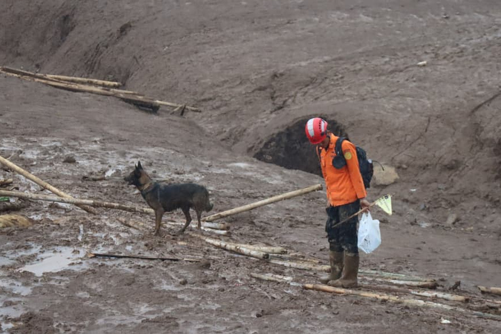 In this photo released by Indonesia's National Disaster Management Agency (BNPB) a rescuer searches for victims in Pasir Langu village after a landslide, in West Bandung district of West Java province, Indonesia, Monday, Jan. 26, 2026. (BNPB via AP)
