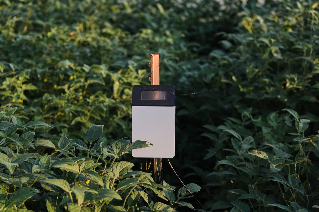A device measures carbon levels in soil Tuesday, Sept. 1, 2026, at a research farm in Champaign, Ill. (AP Photo/Joshua A. Bickel)