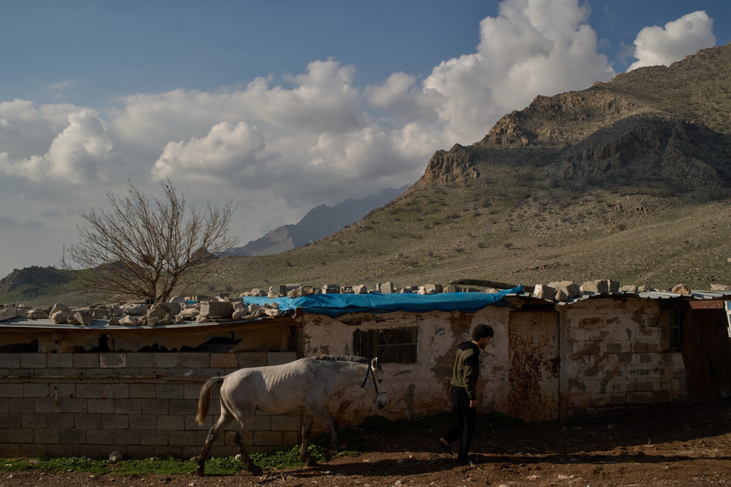 Ako Abdul Rahman, 22, right, an Iraq-Iran cross-border smuggler, leads a horse at a compound in a village in the mountainous Kurdish region near Halabja, Iraq, Tuesday, March 17, 2026. (AP Photo/Leo Correa)