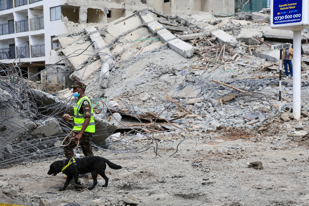 A police officer with a sniffer dog searches for survivors following the collapse of a building in Nairobi, Kenya, Friday, Jan. 2, 2026. (AP Photo/Andrew Kasuku)
