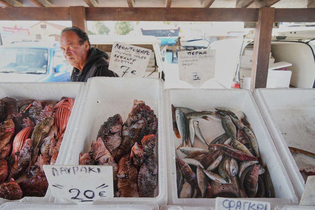 A man walks behind lionfish, center, and other fish at a fish market at a harbor in Larnaca, Cyprus, in the eastern Mediterranean, Saturday, Dec. 20, 2025. (AP Photo/Petros Karadjias)