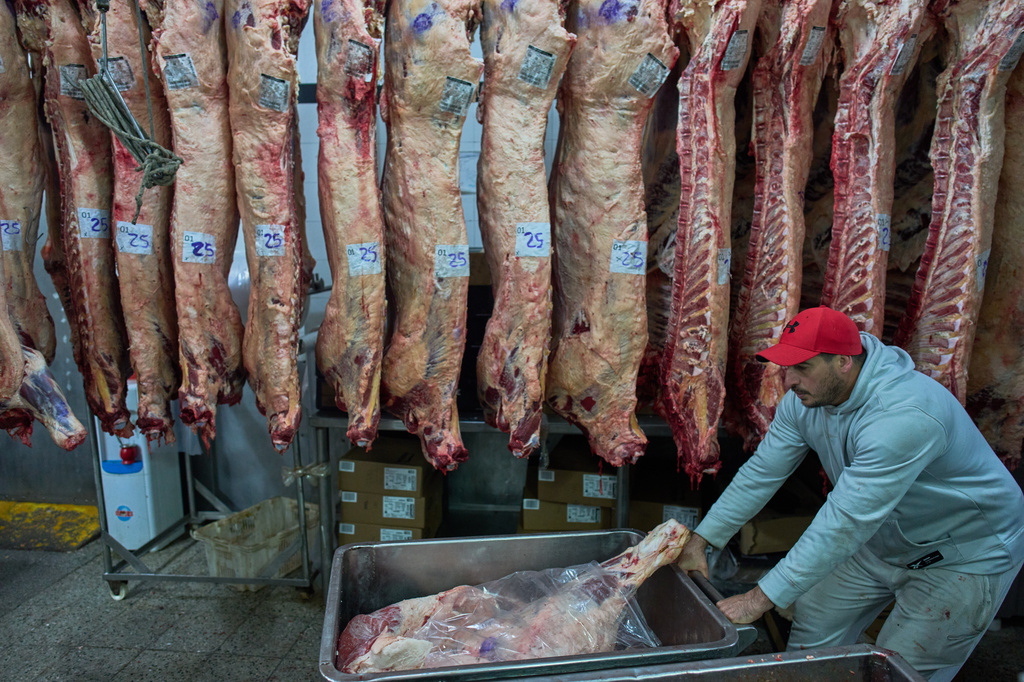 A worker stacks beef inside a fridge at a butcher shop in the Mataderos meat market in Buenos Aires, Argentina, Thursday, May 14, 2026. (AP Photo/Rodrigo Abd)