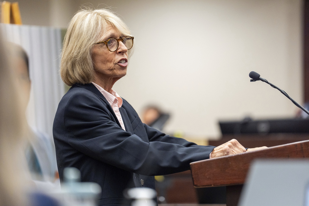 Defense attorney Jackie Fulford presents the defense's opening statement in the trial for Donna Adelson on Friday, Aug. 22, 2025 in Tallahassee, Fla. (Alicia Devine/Tallahassee Democrat via AP, Pool)
