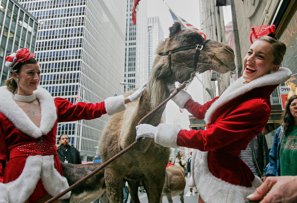 FILE - Rockettes laugh as they hold Azzuri, the camel that along with other animals arrive for the first day of rehearsals for the Radio City Music Hall Christmas Spectacular, Nov. 7, 2006, in New York. (AP Photo/Dima Gavrysh, File)