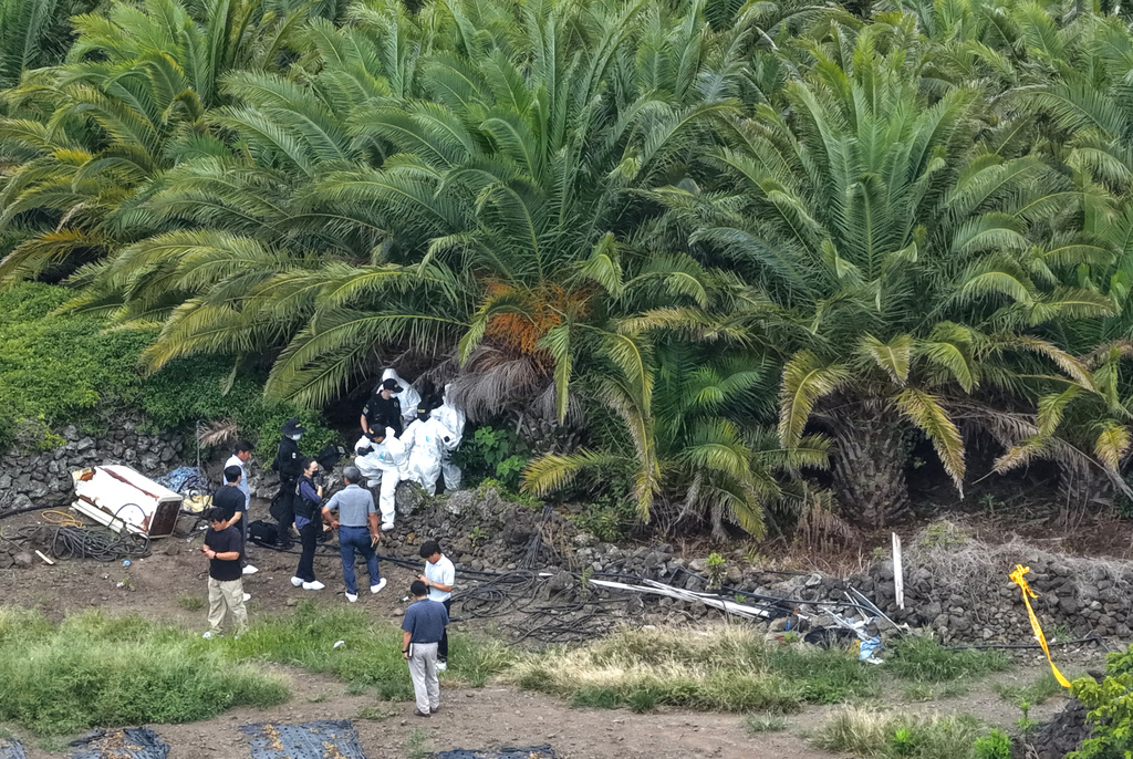 Police officers examine the scene at a palm tree farm where the body of missing woman, Jang Mi-ran, was found on Jeju Island, South Korea, Monday, Aug. 24, 2026. (Park Ji-ho/Yonhap via AP)