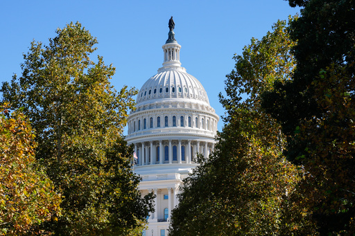 The Statue of Freedom atop the U.S. Capitol is seen between autumn tree leaves on day 23 of the government shutdown, Thursday, Oct. 23, 2025, in Washington. (AP Photo/Mariam Zuhaib) The Statue of Freedom atop the U.S. Capitol is seen between autumn tree leaves on day 23 of the government shutdown, Thursday, Oct. 23, 2025, in Washington. (AP Photo/Mariam Zuhaib)