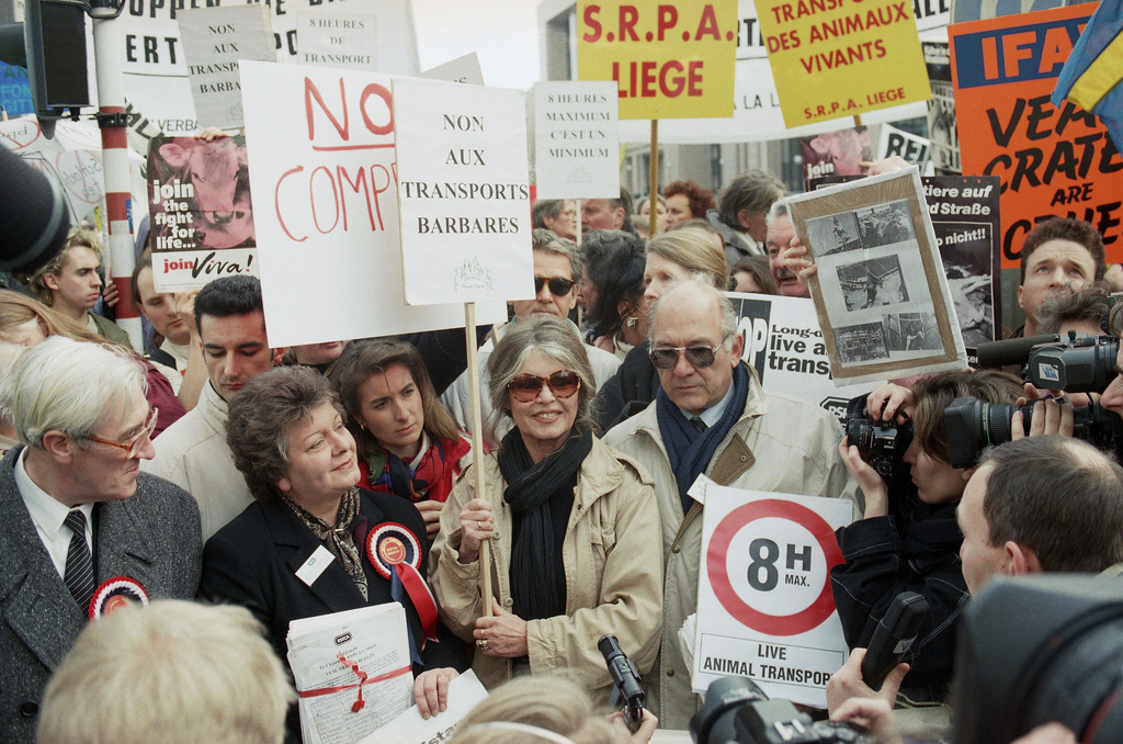 FILE - French actress Brigitte Bardot, center is surrounded by animal rights protestors during a demonstration against transporting live animals in Brussels, Monday, Feb. 20, 1995. (AP Photo/Jacques Collet, File)