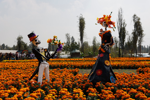 Catrina sculptures stand in a field of cempasuchil flowers in San Luis Tlaxialtemalco on the outskirts of Mexico City, Friday, Oct. 17, 2025. (AP Photo/Claudia Rosel) Catrina sculptures stand in a field of cempasuchil flowers in San Luis Tlaxialtemalco on the outskirts of Mexico City, Friday, Oct. 17, 2025. (AP Photo/Claudia Rosel)